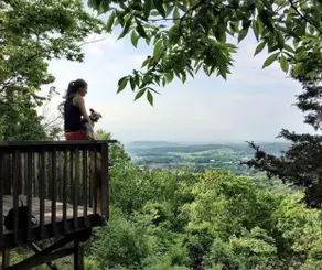 [Rabbit Hill Cabin] Hiking/Private/Forest view - Image 4