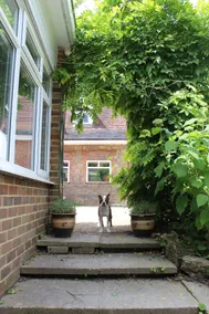 Charming Guest Suite in the Kent Countryside - Image 5