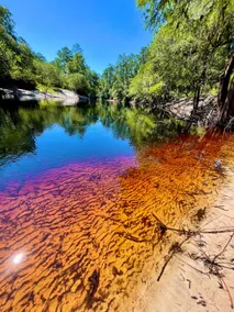 “Tupelo Hollow”- River House - Image 3