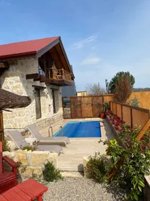 Heated Pool & Jacuzzi & Fireplace River View - Image 4
