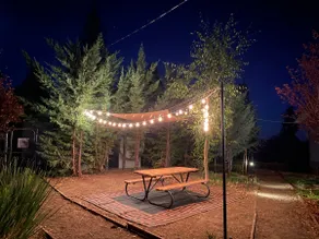 The Hilltop Cabin Retreat/Family & pet Friendly - Image 5