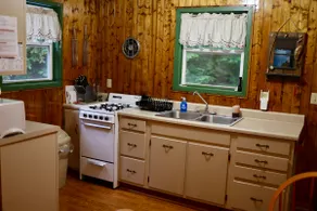 Charming Lake Cabin Adirondacks Tesla Charging - Image 5