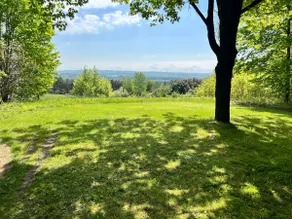 Aframe on 5 private acres w/ Hot Tub, Pet Friendly - Image 3