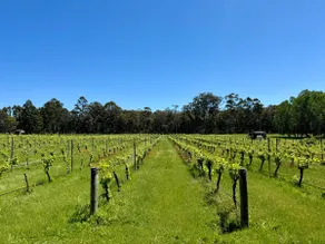 ”Homestead” at Dalton's Paddock - Image 5
