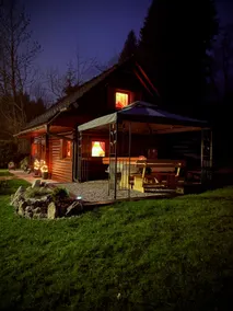 Cottage Ladybug - Image 2