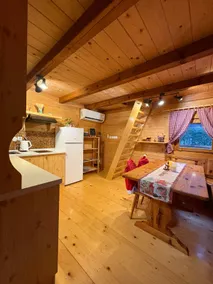 Cottage Ladybug - Image 3