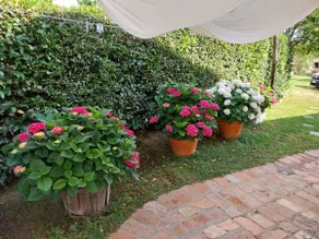 Casa Carini - Image 2