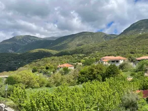 Dimitra - Image 4