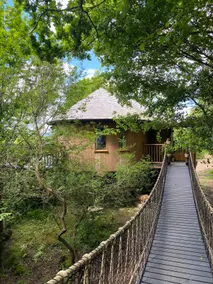 Luxurious, stunning, treehouse - Image 3