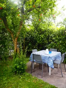 Tito's Gardenias - Image 3