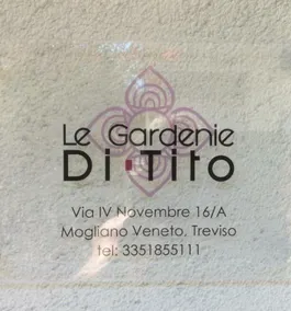 Tito's Gardenias - Image 2