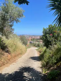 Beautiful views of the Aeolian Islands and the Cape of Milazzo - Image 2