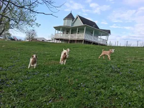 Amish Country Cottage - Image 2