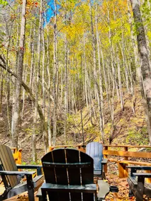 Scout Cabin on a Trout Creek | Cohutta Wilderness - Image 3