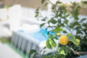 Villa Lumia - Image 2