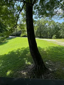 Cabin in LaFollette - Image 2