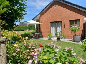 Les Mimosas - Image 1