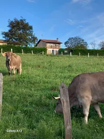 A rural house, with peace and relaxation, overlooking Picos Europa - Image 4