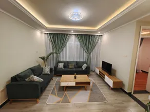 Luxurious apartment at the center of Addis - Image 4