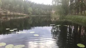 Cottage and private pond - Image 2