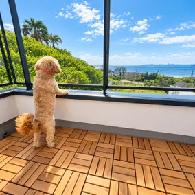 Villa A / Ocean View / Dog Run / Sauna / Pool / BBQ - Image 3