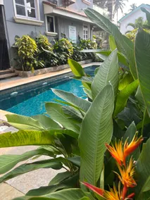 Sun-kissed Emerald 4 bedroom villa - Image 3