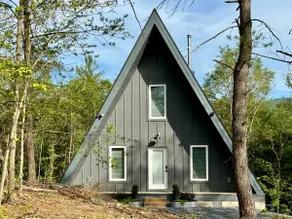 A Peak in the Pines - Image 2