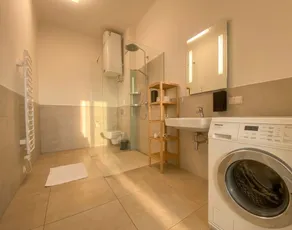 Spacious apartment in Baden - Image 5