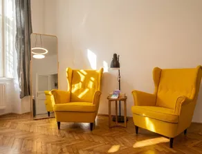 Spacious apartment in Baden - Image 3