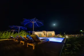 Terra Holiday #2 - Image 2