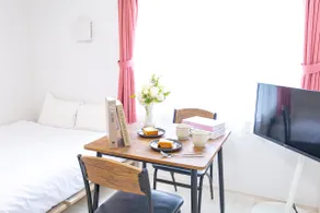 Sky Up Oshiage, 1-bedroom apartment b-3 - Image 2