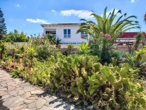 Time out by the sea - Quiet apartment in Palm Mar - Image 2