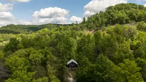 Romantic Woodland Cabin• HotTub • Peaceful Retreat - Image 3