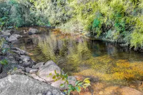 Empress Mansion: Vintage, Hot Springs and Nature - Image 3