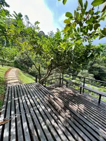 Casa California | Livin In Nature | 25 min From KL - Image 3