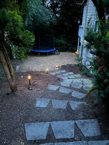The spacious basement - Image 4