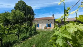 Villa surrounded by nature with pool and beach volleyball - Image 2