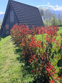Vatra Bârsei Casa III - Image 2