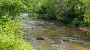 The Honey Hole Hideaway - Image 4