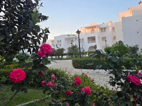 Furnished apartment S+3 Yasmine Hammamet - Image 5