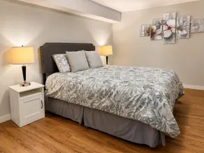 Bright 2BR Apt near Downtown | Free Parking |Bsmnt - Image 3
