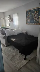 Pet Friendly & Central Location - Image 4
