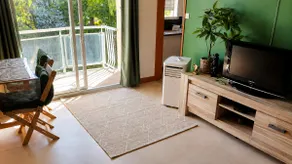 Jungle-themed studio - Image 5