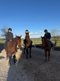 Domaine équestre du Treuil Equestrian Center - Image 2