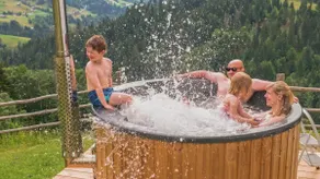 200-year-old holiday home with sauna and hot tub - Image 3