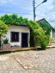 Tree Apartments | The Laureles - Image 2