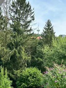 At the foot of the TV Tower - Image 4