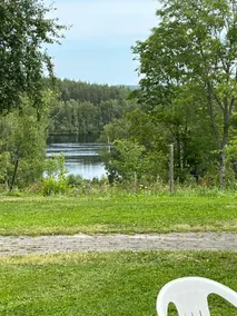 Inside the beautiful forest - Image 3