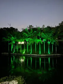 Sponchiado Farm - Image 4