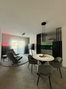 Business & Wellness Apartment with Office & Infrared Sauna - Image 2